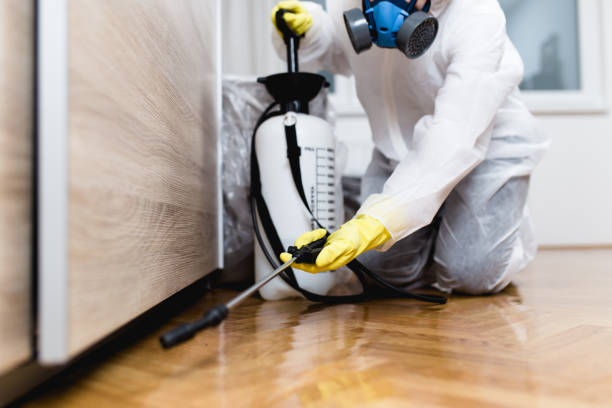 Best Emergency Pest Control  in Tresckow, PA