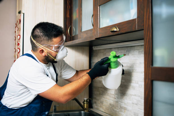 Best Affordable Exterminators  in Tresckow, PA