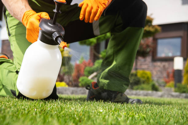 Best Residential Pest Control  in Tresckow, PA