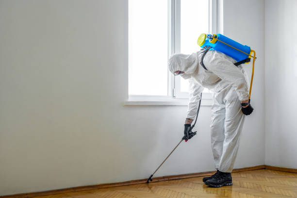 Best Residential Pest Control  in Tresckow, PA