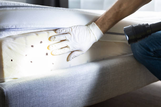 Best Exterminator Services  in Tresckow, PA