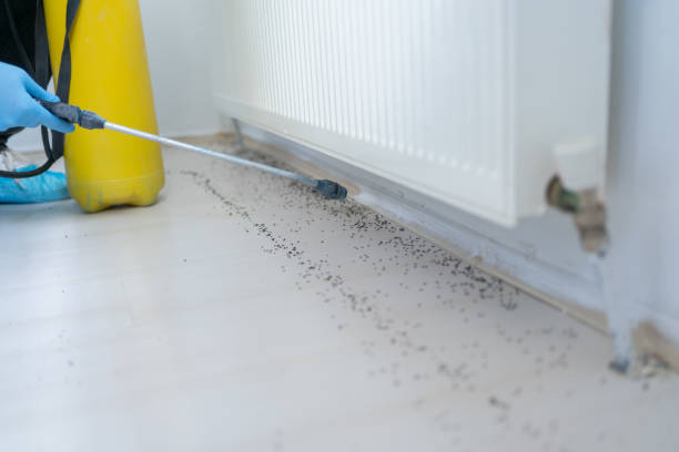 Best Bed Bug Extermination  in Tresckow, PA